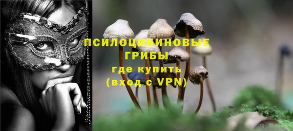 apvp Рославль