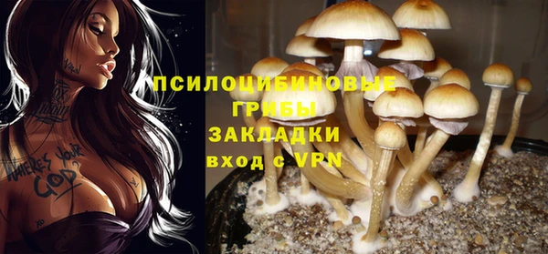 прущий лед Абдулино