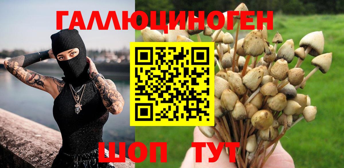 Псилоцибиновые грибы Psilocybe Моршанск