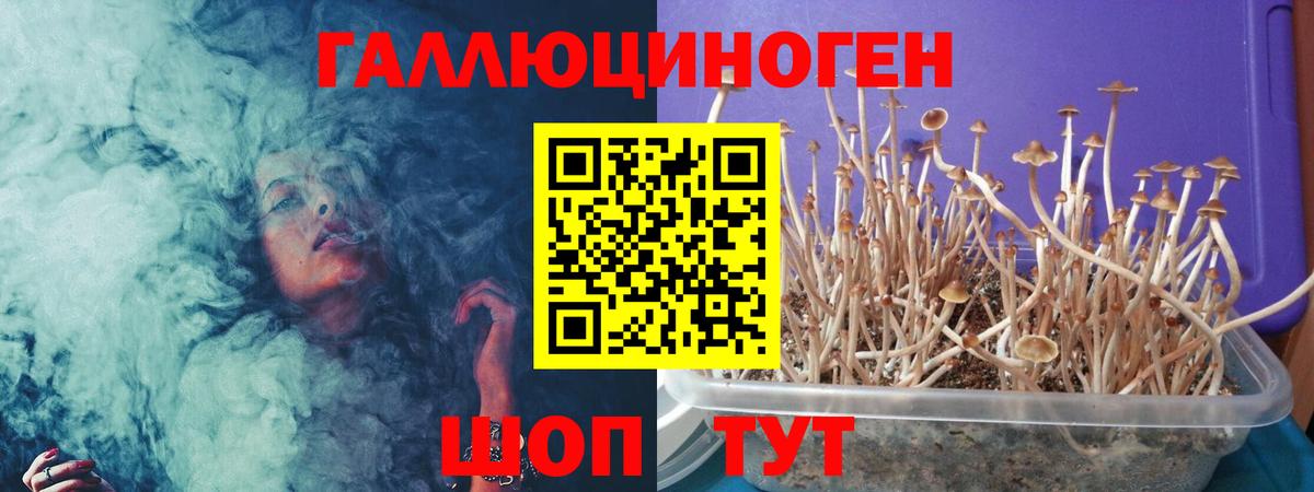 Моршанск  Псилоцибиновые грибы мицелий  Вход с VPN 